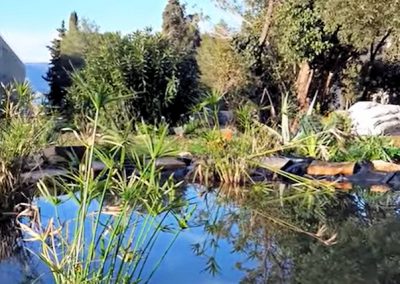 Réfection du bassin méditerranéen du jardin de St Mandrier