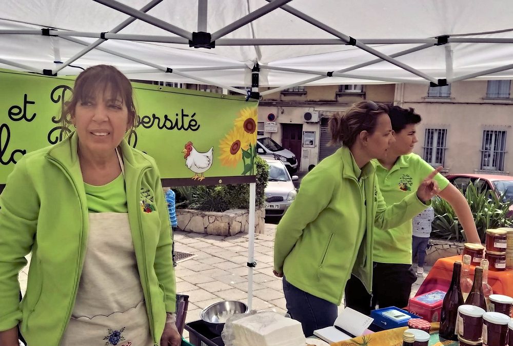 Après-midi nature avec le CIL St Roch de Toulon