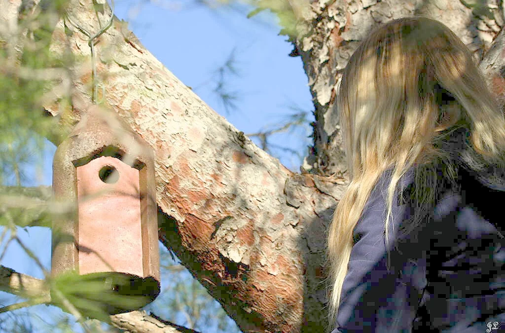 Suivi du refuge LPO au PEM de Saint Mandrier sur Mer