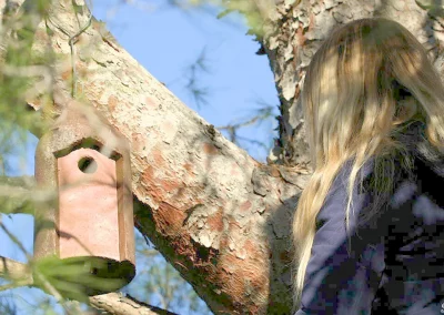 Suivi du refuge LPO au PEM de Saint Mandrier sur Mer