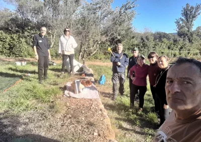 Cueillette des olives à Cuers