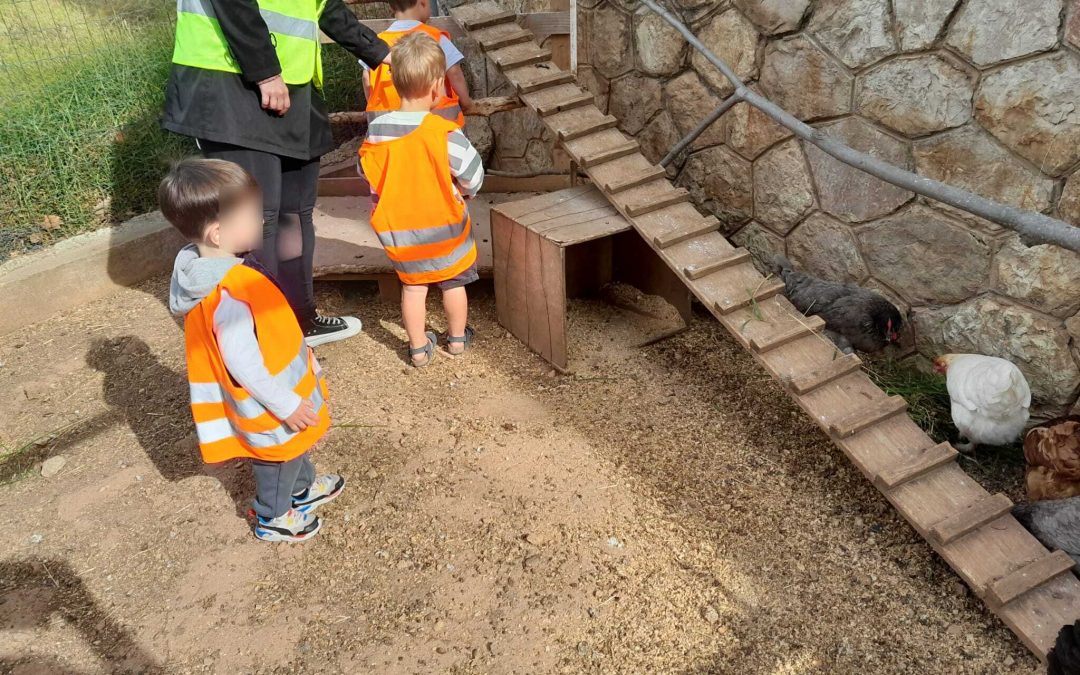 Visite de la crèche des Faons Faron aux jardins Ste Anne