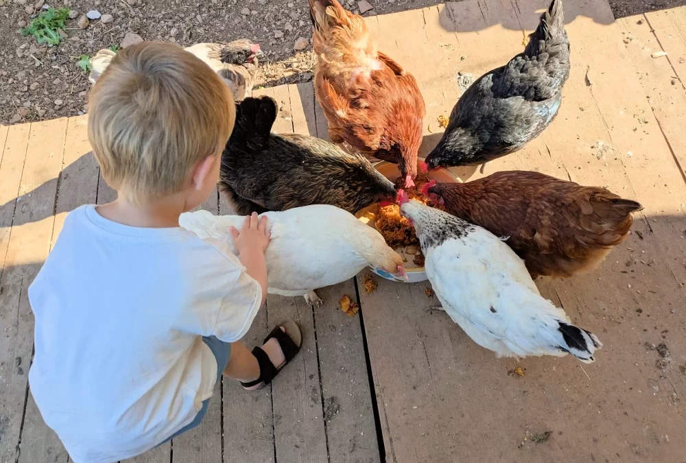 Visite de la crèche des Faons Faron aux jardins Ste Anne